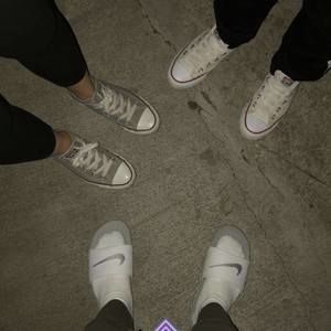 Meet your Posher, Mona